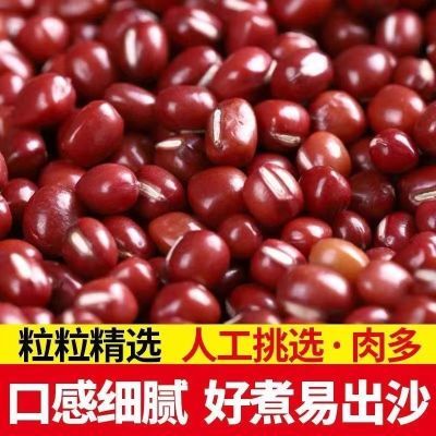 东北新货红小豆红小豆农家自产精品红豆蜜豆可做豆沙豆浆批发1502