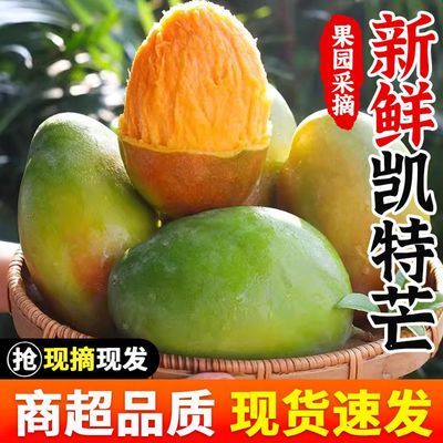 凯特芒四川攀枝花芒果特大巨无霸青皮大芒果批发整箱5斤/10斤包邮