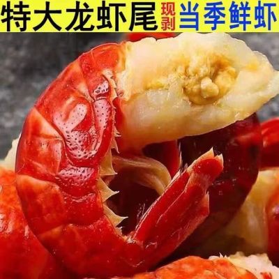 赠料包】新货龙虾尾活虾现剥无冰衣特级大号虾尾龙虾一级虾尾顺丰