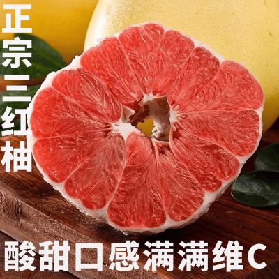 正宗平和红心蜜柚红肉柚子当季新鲜应季水果现摘三红柚大果一整箱