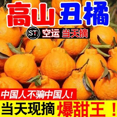 【当天摘】正宗高山丑橘当季新鲜水果丑八怪桔子超甜薄皮丑桔10斤