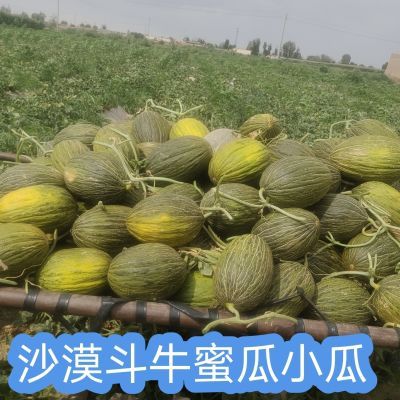 沙漠斗牛蜜瓜(小个头)