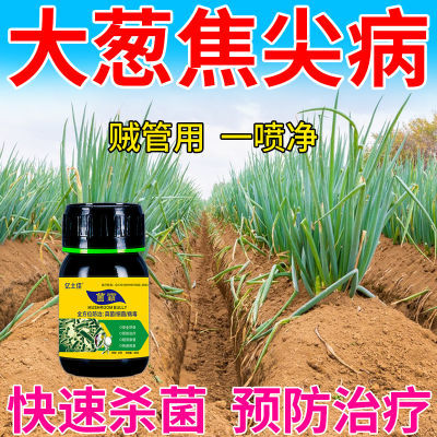 大葱病害专用病菌黄叶预防干尖软腐病疫病病毒白粉病锈病杀菌剂