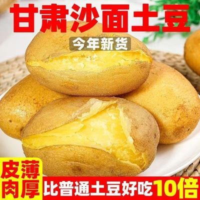 甘肃新鲜黄皮土豆沙面土豆