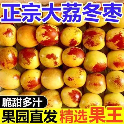 陕西大荔冬枣正宗脆甜枣子新鲜应季水果现摘鲜枣青枣蜜枣整箱批发