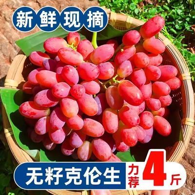 克伦生无籽红提葡萄现摘新鲜多汁无核无籽超甜脆当季薄皮孕妇水果