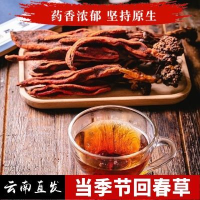 野生回春草 云南不老草顶天柱产地直发云南特产起阳草泡茶泡酒料