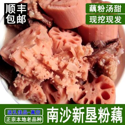 YB顺丰包邮【当天现挖】正宗新垦粉藕煲汤食材莲藕新鲜面藕净重