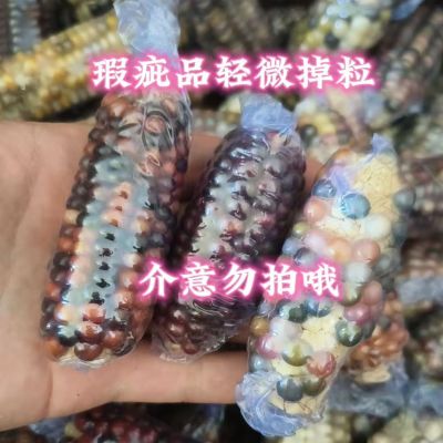 仓鼠磨牙棒小玉米金丝熊鹦鹉兔子蜜袋鼬小宠磨牙饲料500G装瑕疵款