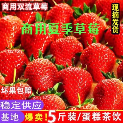 云南新鲜现摘酸草莓新鲜商用水果烘焙糖葫芦奶茶5斤10斤批发价