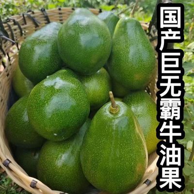 广西国产巨无霸牛油果现摘新鲜水果当季整箱奶茶店专用牛油果