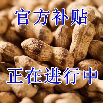 【特价】原味铁锅炒花生】原味新货农家花生柴火炒花生炒熟带壳