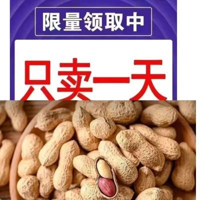 【特价】原味铁锅炒花生】原味新货农家花生柴火炒花生炒熟带壳