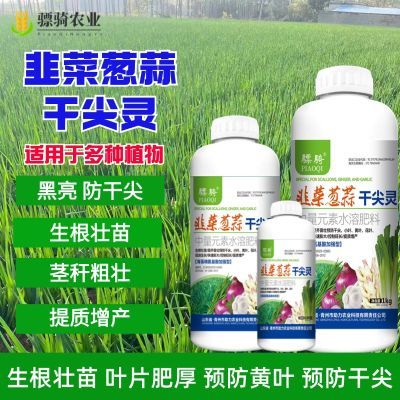 韭葱蒜干尖灵大葱姜黄叶烂根干尖死棵专用氨基酸叶面肥