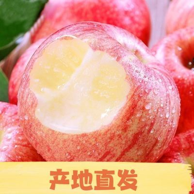 2026年正宗庆阳套袋现摘红富士彩色纸箱发货新果上市新鲜苹果