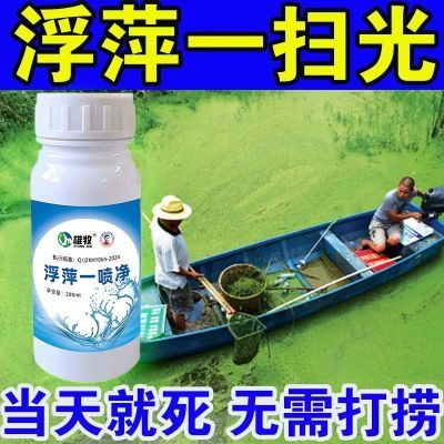 浮萍一喷净雄牧除藻剂鱼虾蟹池塘除浮萍除青苔不伤鱼鱼塘水产专用