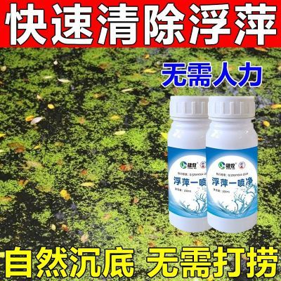 雄牧浮萍一喷净除青苔一扫光水产养殖专杀池塘蓝藻虾鱼塘清理神器