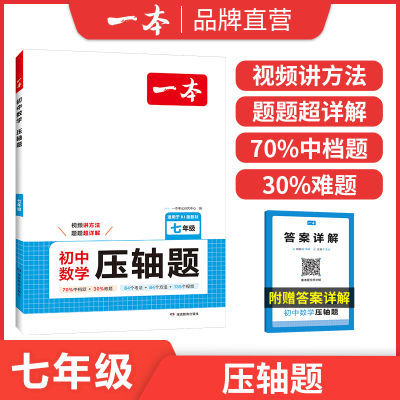 2025一本官方旗舰店初中数学压轴题七八九年级中考数学有理数方程