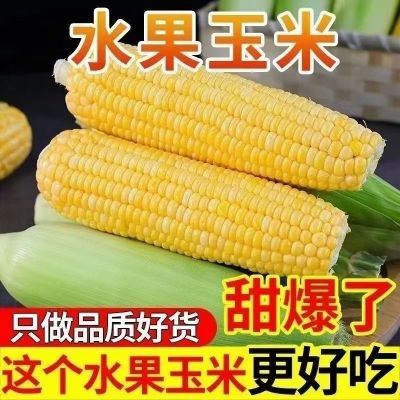 新鲜水果玉米爆浆甜玉米现摘生吃苞谷即食棒子带壳玉米蔬菜5斤