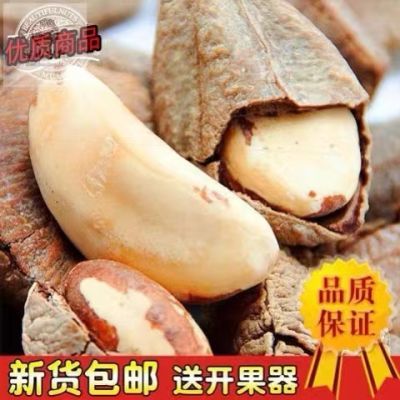 新货鲍鱼果500g袋装新疆特产休闲零食干果沙漠果巴西坚果批发200g