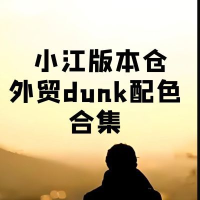 《小江》国内自主品牌外贸市场dunk/dunksb合集休闲运