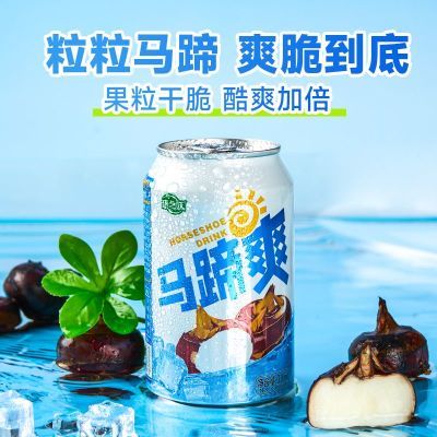 康之味马蹄爽果肉果汁310ml*12瓶饮品老牌子添加荸荠果肉