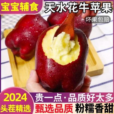 2024正宗甘肃天水蛇果花牛蛇果婴儿宝宝刮泥粉面脆甜应季新鲜