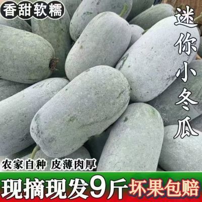 云南小冬瓜水果冬瓜生吃脆白皮冬瓜新鲜全白小个当季蔬菜整箱包邮