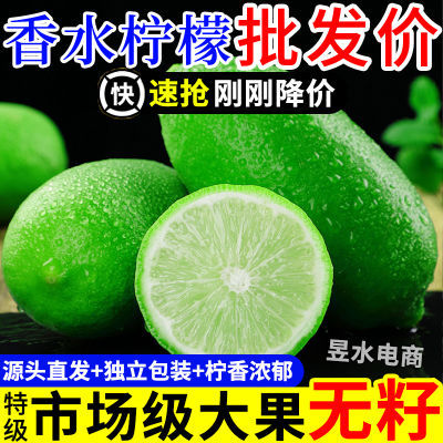 【特级精品】正宗无籽香水柠檬鲜果批发薄皮大果奶茶店专用青柠檬