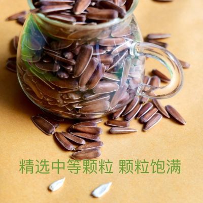 云南正品网红水果红皮葵花籽即食原味瓜子中等颗粒散装休闲新货