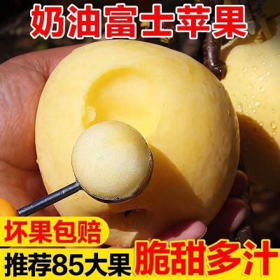 山东奶油苹果新鲜5/10斤黄苹果整箱牛奶鲜果孕妇营养水果当季批发