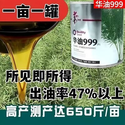 华油999正品高产油菜籽矮杆早熟新品种黑油菜籽种子抗冻耐寒榨油