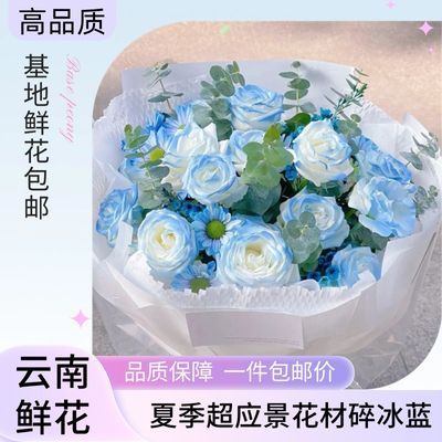 碎冰蓝玫瑰洋桔梗鲜花喷色鲜花新颖浪漫生日礼物情人节送人