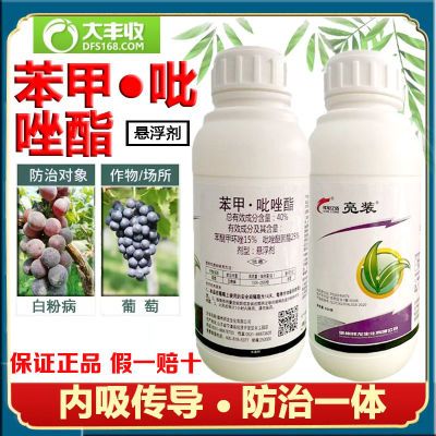 40%苯甲吡唑酯月季黑斑白粉病炭疽病叶霉病砂皮病农用农药杀菌