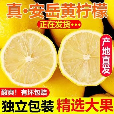 正宗安岳黄柠檬当季新鲜水果奶茶切片泡水批发价一整箱新鲜采摘发