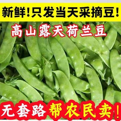 【冷链保鲜发货】云南荷兰豆新鲜蔬菜农家自种当季高山露天豌豆豆