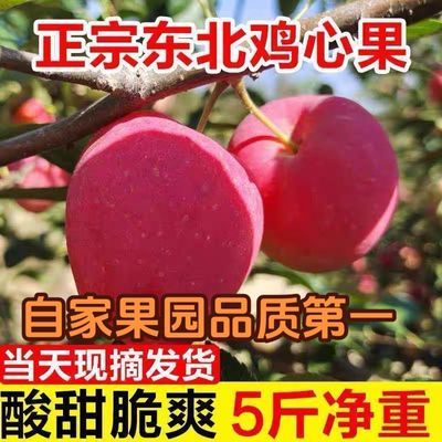 【超低价】正宗东北鸡心果脆甜小苹果一整箱新鲜嘎啦糖心批发沙果