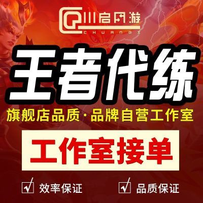 王者荣耀代练排位上分代打英雄战力巅峰赛省标金标大小国标陪练玩