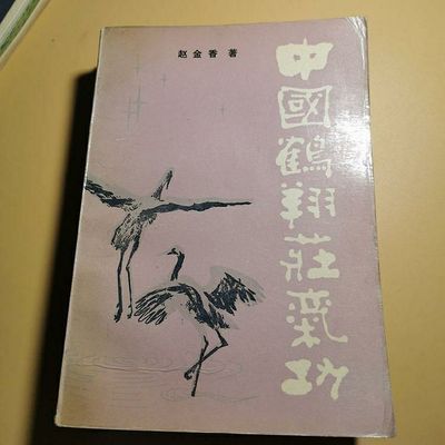 中国鹤翔庄气功 武术武功赵金香气功动功站桩功内功心法1986书籍【11月20日发完】