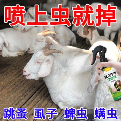 猪牛羊驱虫喷雾兽用开胃驱虫透皮溶液体内外一体驱虫家畜打虫喷剂