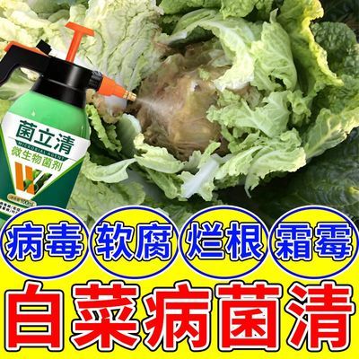 白菜腐烂全治软腐病白菜病菌清专用打虫药防腐防烂药根腐病叶面肥