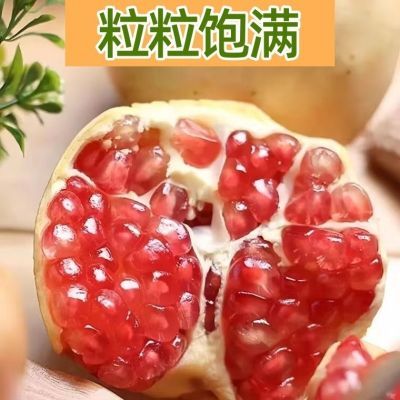 【云南蒙自甜石榴】现摘水晶石榴新鲜水果甜石榴大果整箱包邮批发