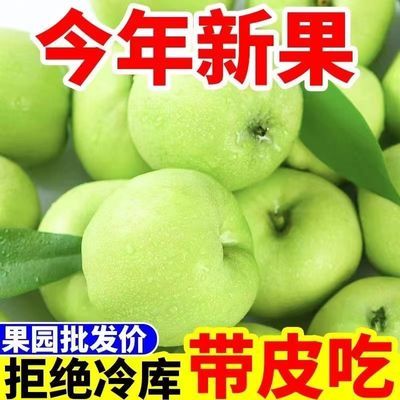 【不打蜡】2024青苹果水果新鲜苹果当季孕妇酸甜脆红批发一整箱