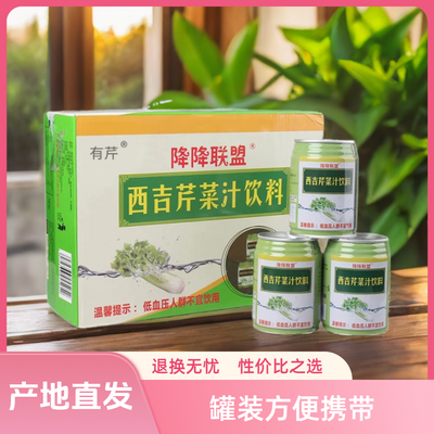 宁夏西吉芹菜汁饮料罐装250ml 果蔬西芹汁原液降降联盟批发