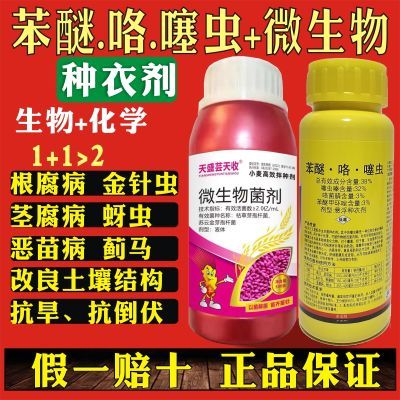 38%苯醚咯噻虫嗪小麦花生玉米大蒜拌种剂蚜虫茎腐病防虫病种衣剂