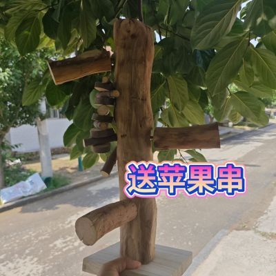 苹果木攀爬树桩苹果枝磨牙仓鼠玩具跳台爬梯金丝熊造景龙猫花枝鼠