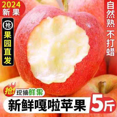 2024年9月7日更新【万能白菜价】的图片 第2张