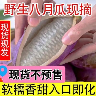 【果农自销】八月瓜现摘现发今年新鲜八月炸水果木通果坏果包赔