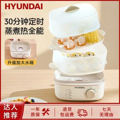 HYUNDAI蒸蛋器小型家用煮蛋器大容量多功能早餐机蒸笼万能双层型