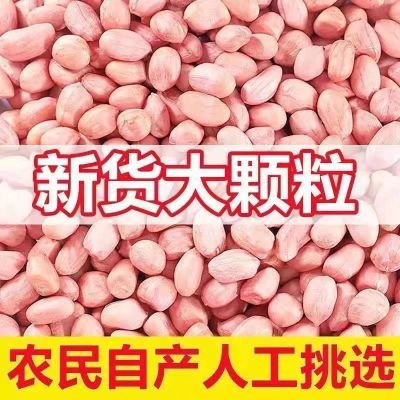 粉皮花生米大粒云南新货2024花生农家自种无壳生花生新鲜大粒花生